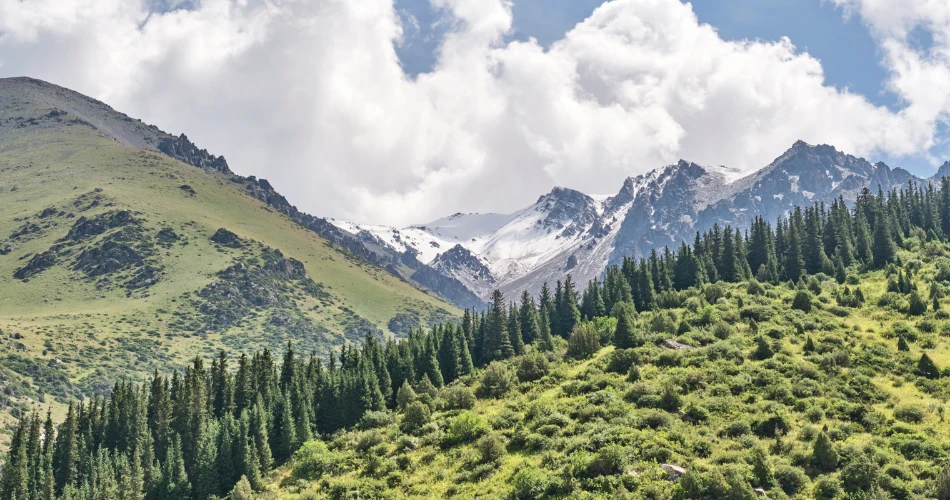 Best Weekend Getaways in Three Rivers for Families & Groups