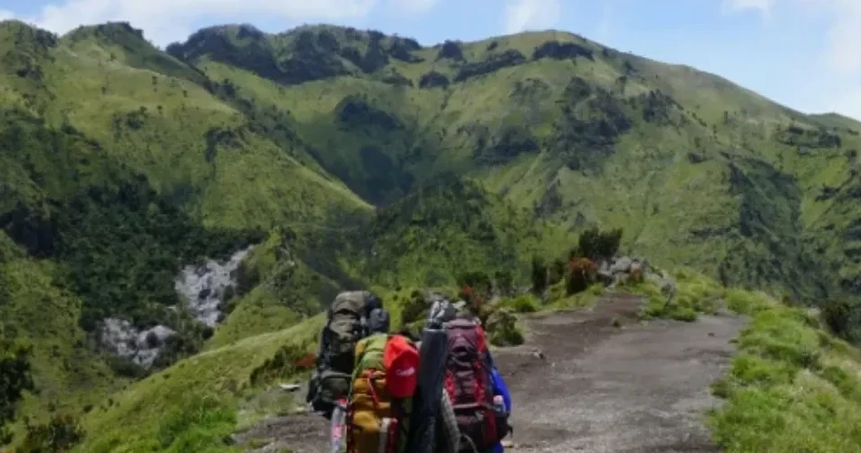 Three Rivers Outdoor Guide: Best Nature Activities & Scenic Adventures